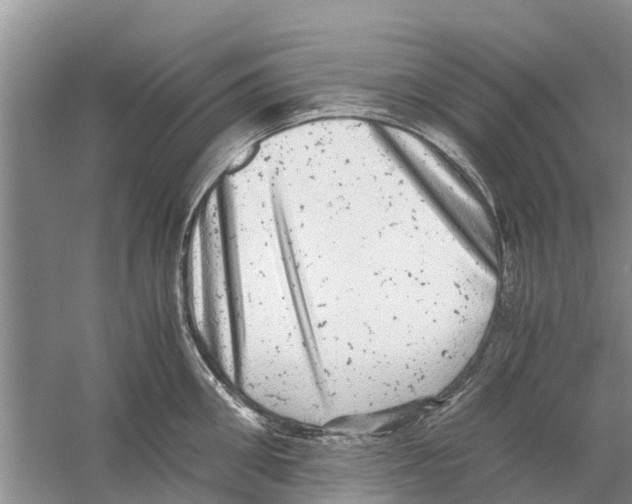 X0000058780906200510282008