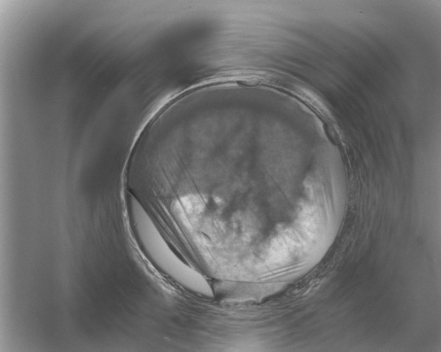 X0000058780907200510282008