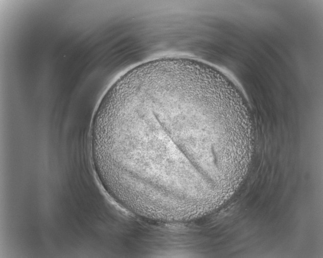 X0000058780911200510282007