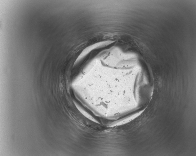 X0000058780914200510282007