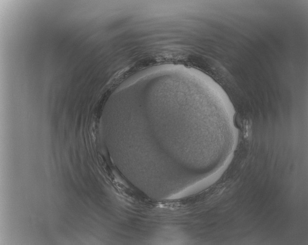 X0000058780915200510282007