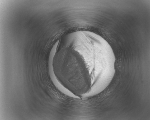 X0000058780916200510282007