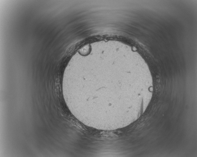 X0000058780918200510282007