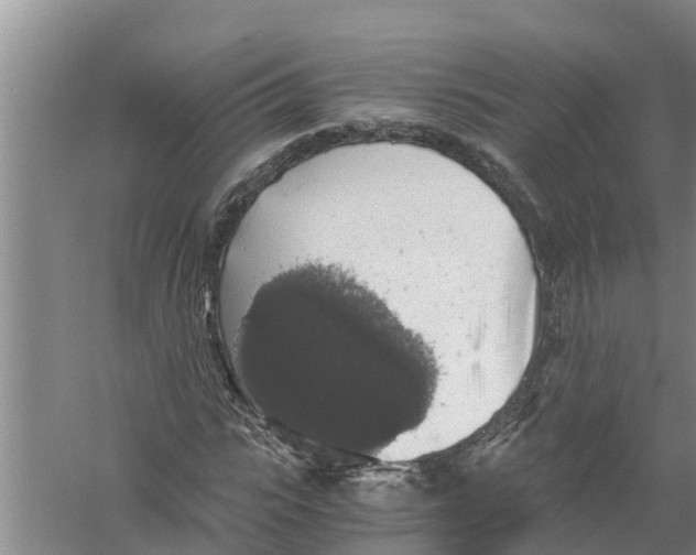 X0000058780919200510282007