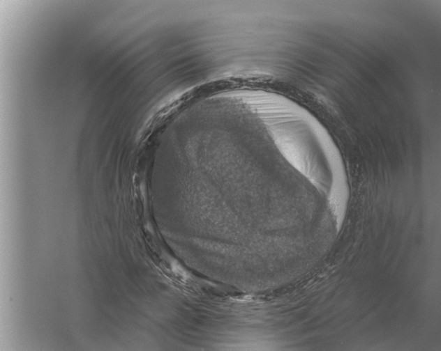 X0000058780920200510282007