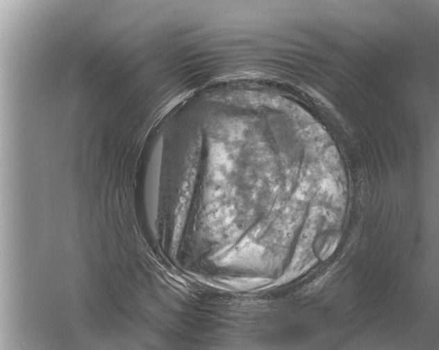 X0000058780921200510282007