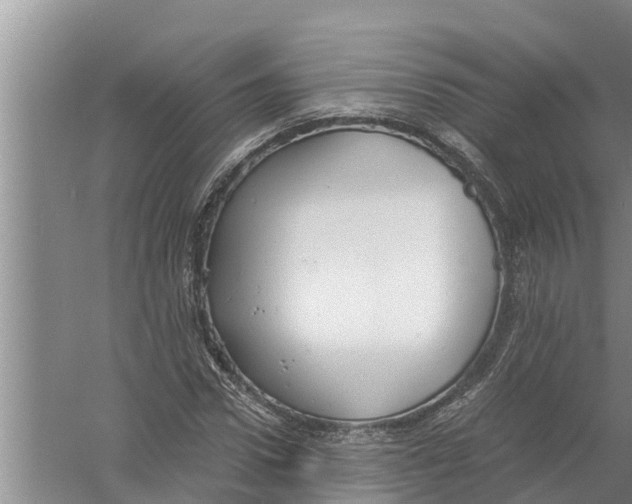 X0000058780922200510282007