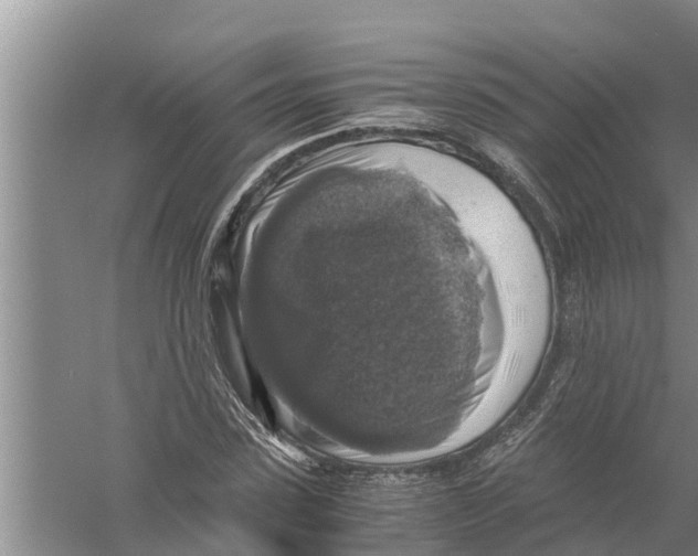 X0000058780923200510282007