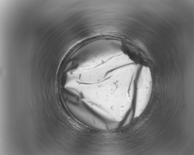 X0000058780924200510282007