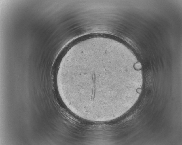 X0000058780926200510282007