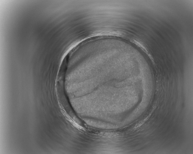 X0000058780928200510282007