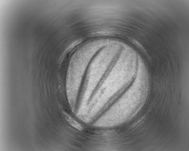 X0000058780930200510282007