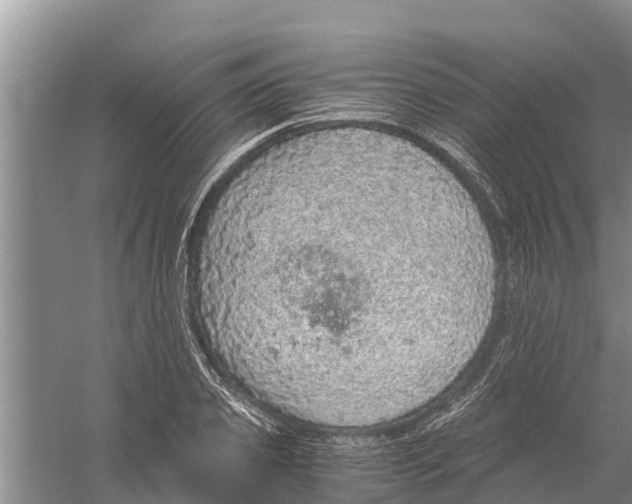 X0000058780933200510282007