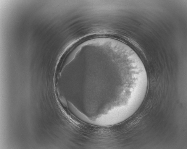 X0000058780935200510282007