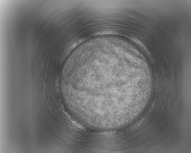 X0000058780937200510282007