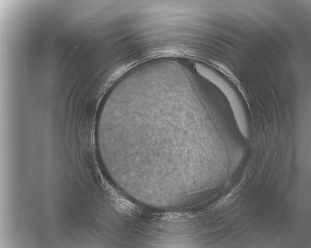 X0000058780938200510282007