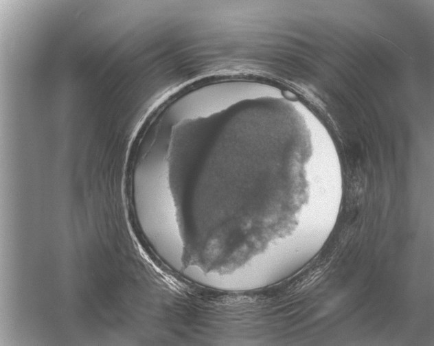 X0000058780943200510282007