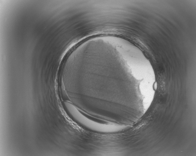 X0000058780944200510282007