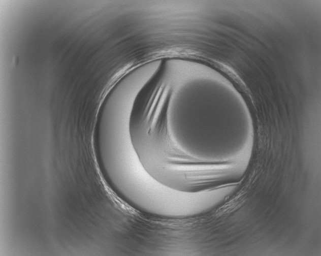 X0000058780946200510282007