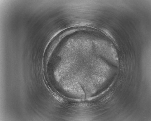 X0000058780948200510282007