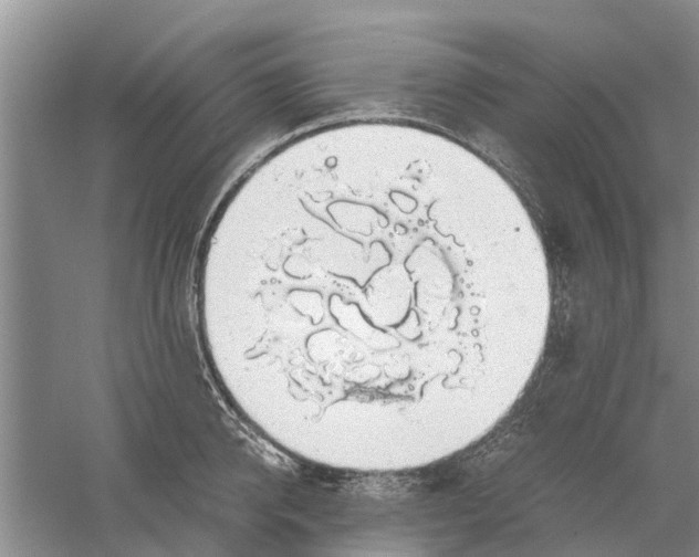 X0000058780950200510282007