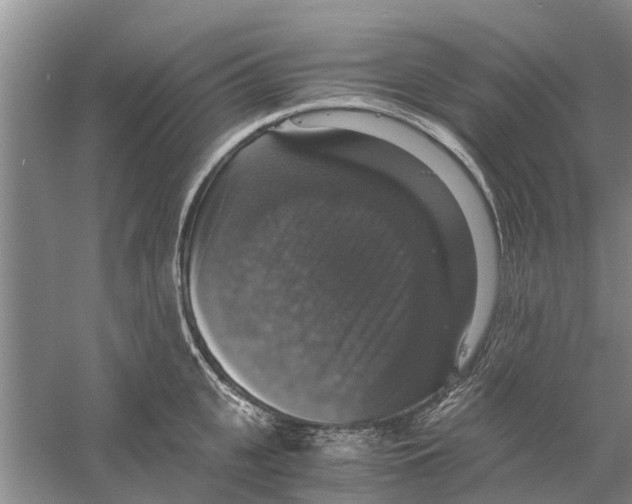 X0000058780951200510282007