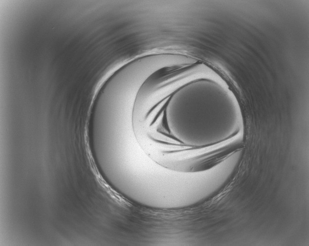 X0000058780952200510282007