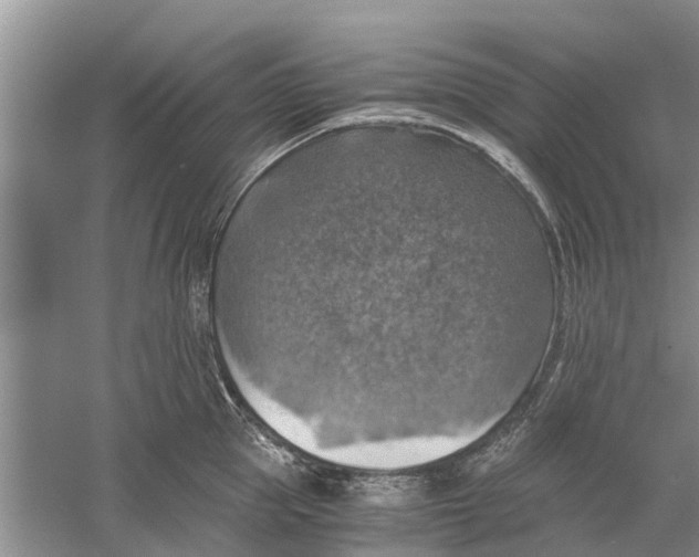 X0000058780953200510282007