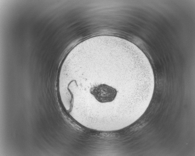 X0000058780954200510282007