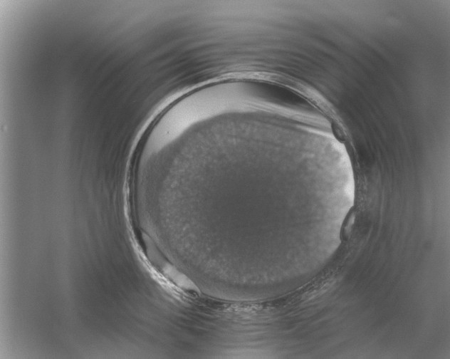 X0000058780955200510282007