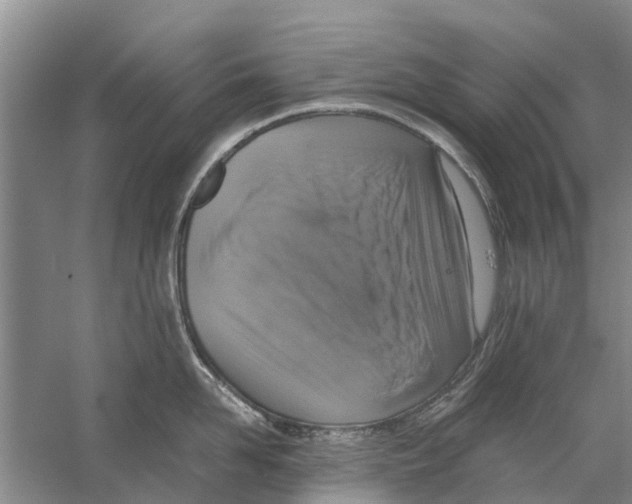 X0000058780958200510282007