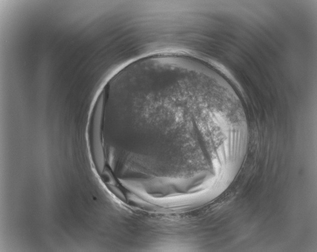 X0000058780959200510282007