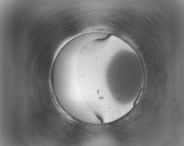 X0000058780960200510282007