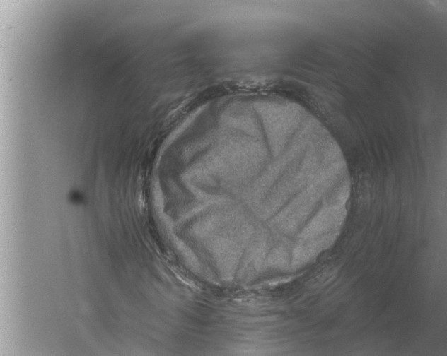 X0000058780962200510282007