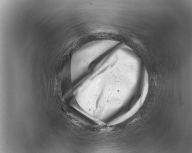 X0000058780965200510282007