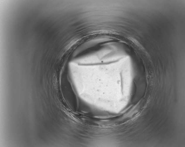 X0000058780969200510282006