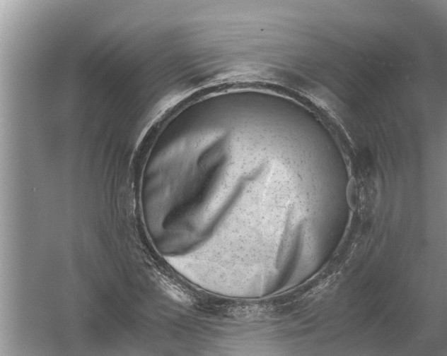 X0000058780973200510282006