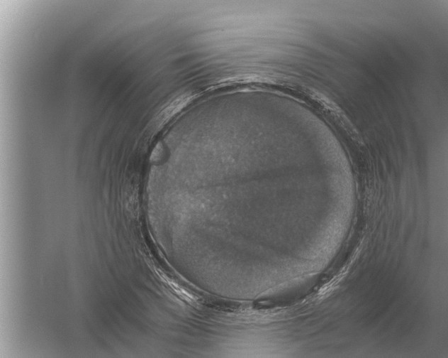 X0000058780977200510282006