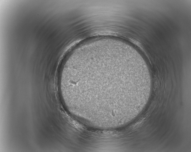 X0000058780979200510282006