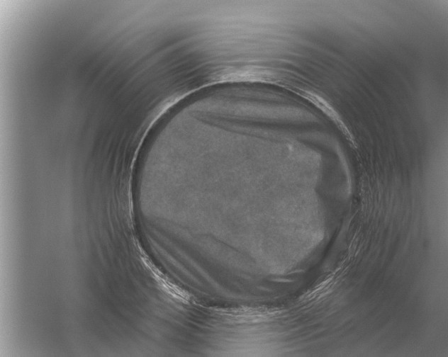 X0000058780980200510282006