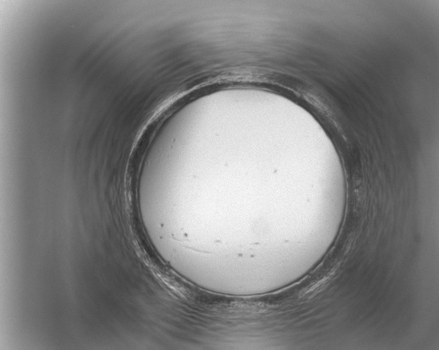 X0000058780981200510282006