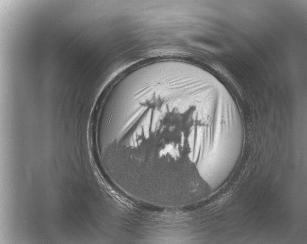 X0000058780983200510282006