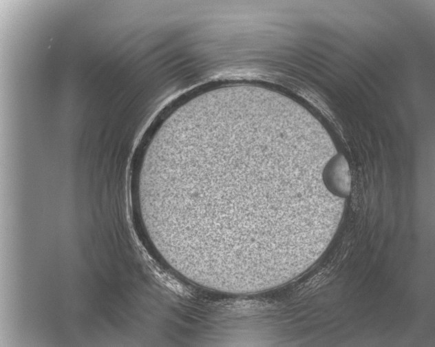 X0000058780984200510282006