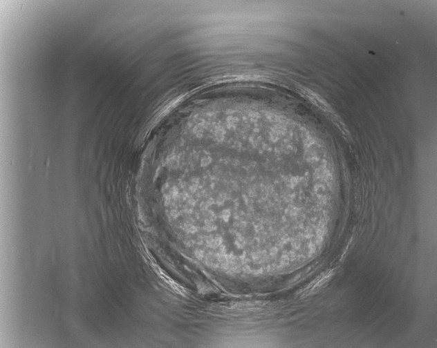 X0000058780985200510282006