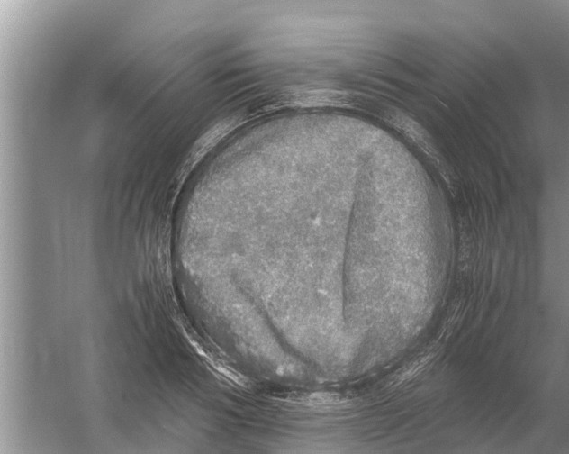 X0000058780986200510282006