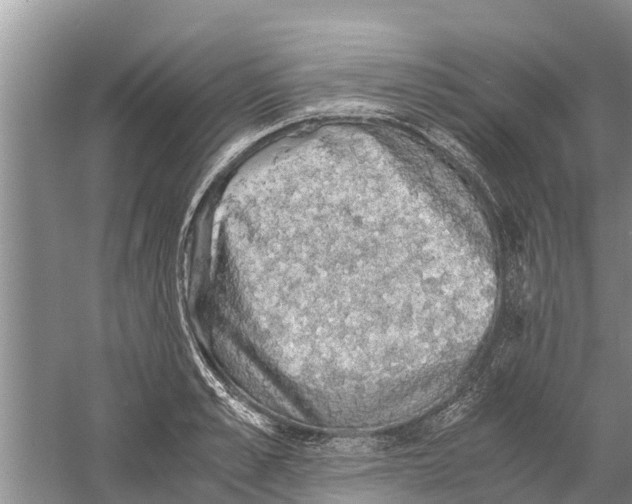 X0000058780989200510282006