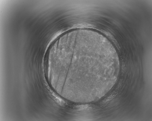 X0000058780990200510282006