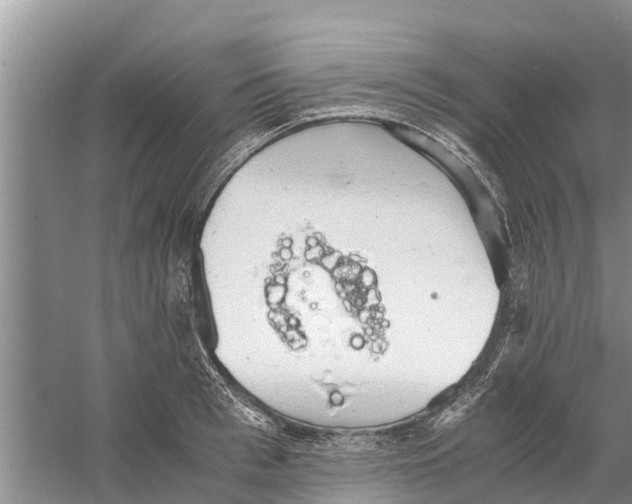 X0000058780993200510282006