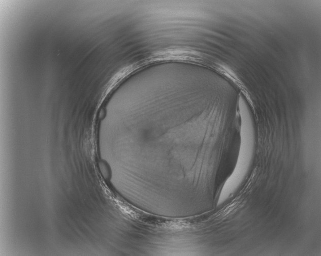 X0000058780994200510282006