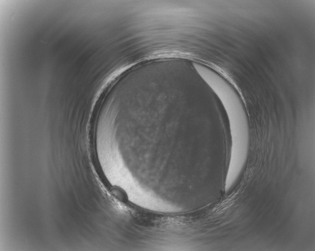 X0000058780995200510282006